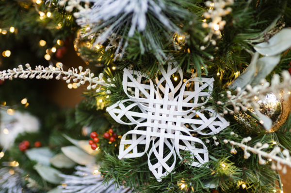 Stop by and see the snow has fallen in Discovery Island! Photo credits (C) Disney Enterprises, Inc. All Rights Reserved 