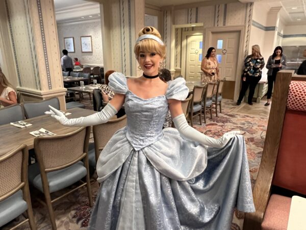 Cinderella wishes to go to the ball.
