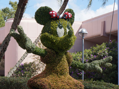 Win a trip to Disney World!