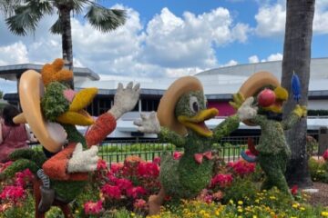 EPCOT International Flower and Garden Festival.