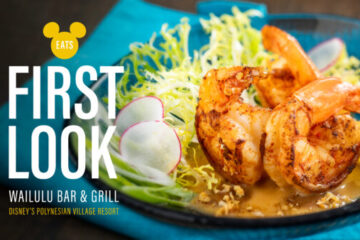 Photo Credit © Disney Enterprises, Inc. All Rights Reserved.