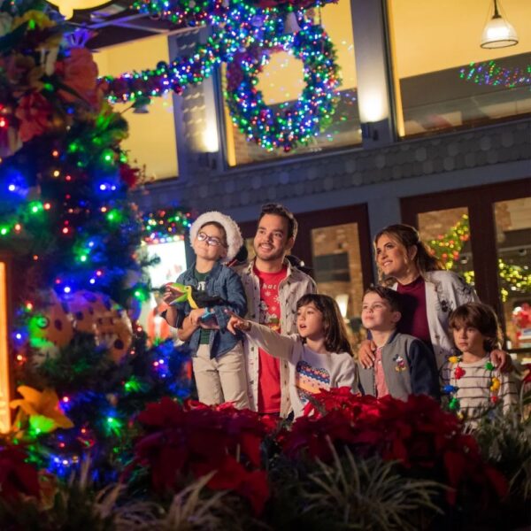 Photo Credit © Disney Enterprises, Inc. All Rights Reserved.