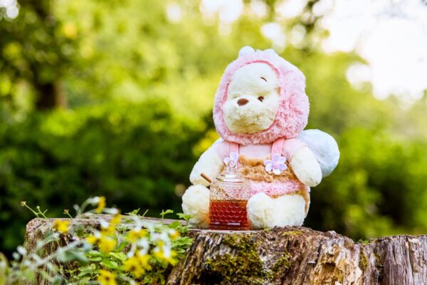 Photo Credit © Disney Enterprises, Inc. All Rights Reserved.