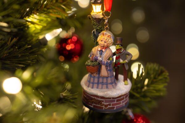 Photo Credit © Disney Enterprises, Inc. All Rights Reserved.