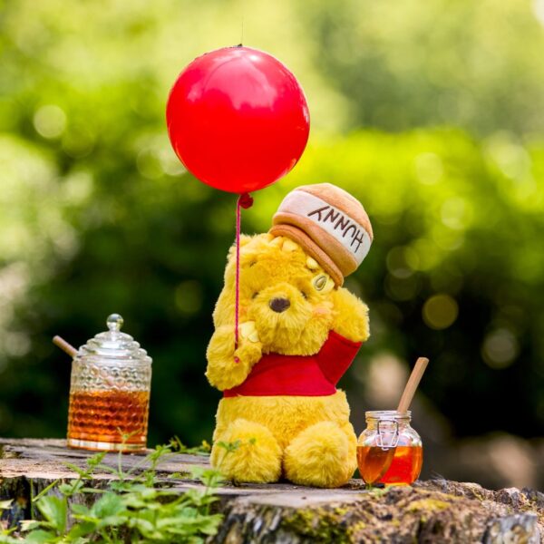 Photo Credit © Disney Enterprises, Inc. All Rights Reserved.