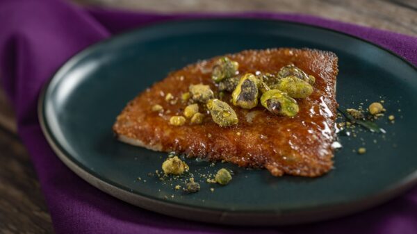 Photo Credit © Disney Enterprises, Inc. All Rights Reserved.