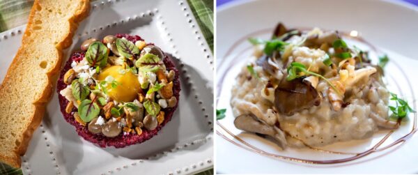 Photo Credit © Disney Enterprises, Inc. All Rights Reserved.