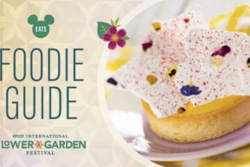 Photo Credit © Disney Enterprises, Inc. All Rights Reserved.