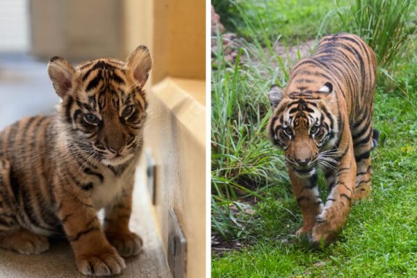 Photo Credit © Disney Enterprises, Inc. All Rights Reserved.