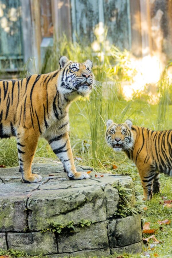 Photo Credit © Disney Enterprises, Inc. All Rights Reserved.