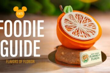 Photo Credit © Disney Enterprises, Inc. All Rights Reserved.