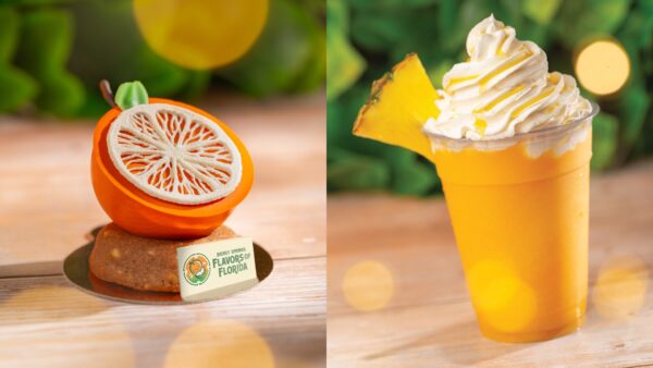 Photo Credit © Disney Enterprises, Inc. All Rights Reserved.