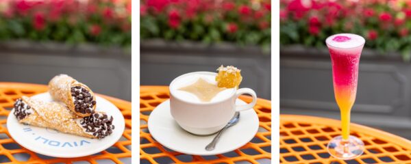 Photo Credit © Disney Enterprises, Inc. All Rights Reserved.