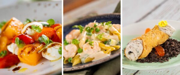 Photo Credit © Disney Enterprises, Inc. All Rights Reserved.