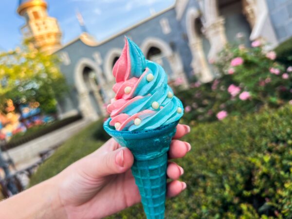 Photo Credit © Disney Enterprises, Inc. All Rights Reserved.