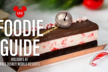 Photo Credit © Disney Enterprises, Inc. All Rights Reserved.