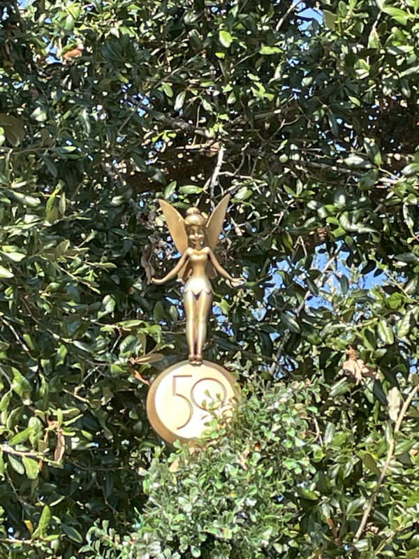 Tinkerbell is very small! Can you find her?