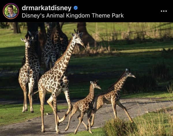 Photo Courtesy of Dr. Mark Penning's Instagram