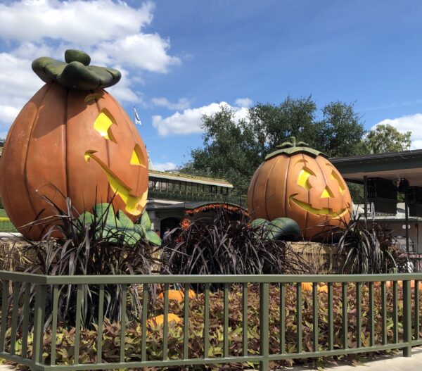 Large pumpkins at the entrance of Magic Kingdom.
