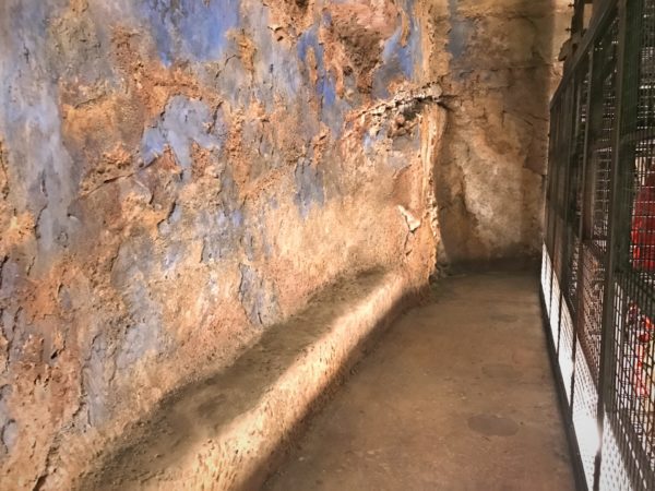 Interestingly, Disney built some ledges into the rockwork that could serve as a kind of seating.