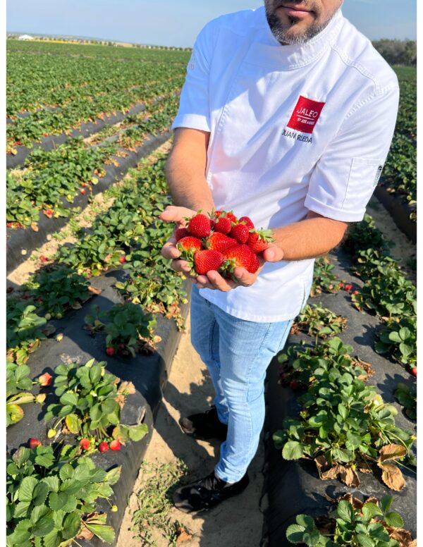 Jaleo Chef Team with Southern Hill Farms Strawberries. Photo Credit © Disney Enterprises, Inc. All Rights Reserved.