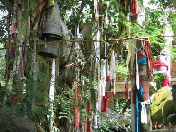 It's a common practice to hang bells and scarves from trees in Asia to commemorate loved ones who have passed.