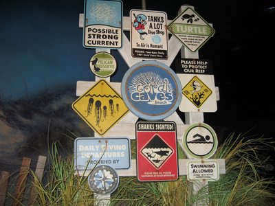 Be Organized At Disney