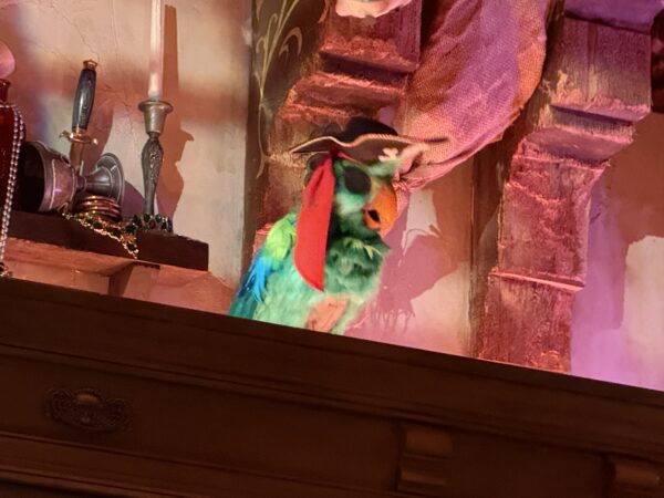 Rummy the parrot watches over the establishment.