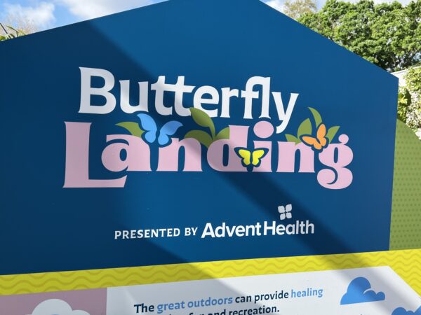 Welcome to Butterfly Landing!