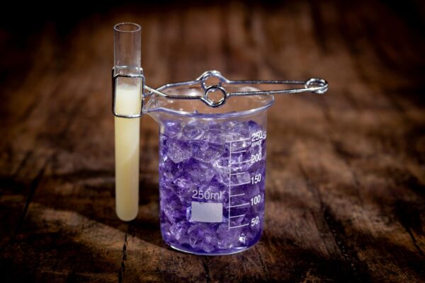 Photo Credit © Disney Enterprises, Inc. All Rights Reserved.