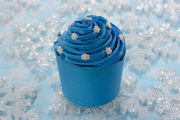Chocolate cupcake with vanilla buttercream (plant based). Photo Credit © Disney Enterprises, Inc. All Rights Reserved.