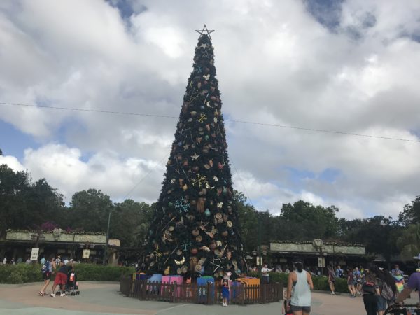 Disney has installed the main Christmas tree for the park.  It is located after security, but before the ticket booths.