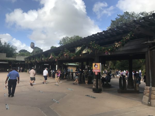 The cover over the entry touchpoints has a nice display of garland.  You can see the floating mountains of Pandora in the distance.