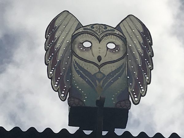 I like how this owl has his wings out.