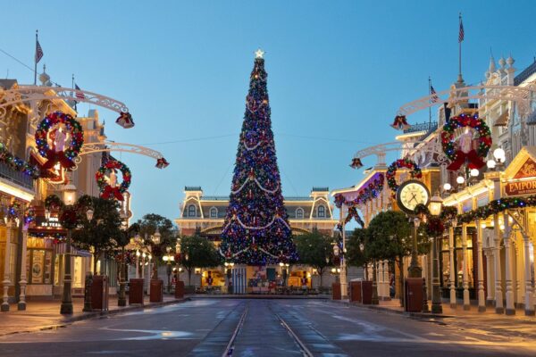 Magic Kingdom Christmas Tree Transformation