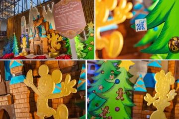 Photo Credit © Disney Enterprises, Inc. All Rights Reserved.