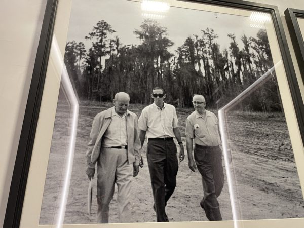 Disney employees survey the land.