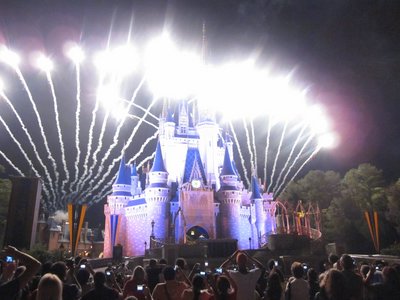 Crowds At Disney World