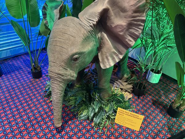 Later in the exhibit you will find the animatronic Little Red, the elephant who lived at the end of Kilimanjaro Safaris from 1998 - 2012.