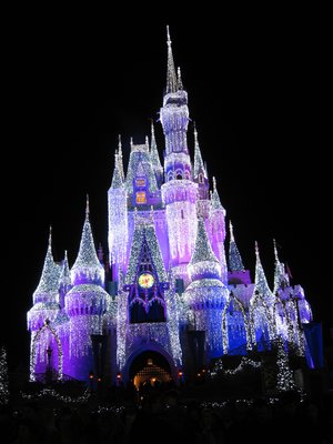 Several tours offer an opportunity to see the amazing Christmas decorations throughout Disney World.