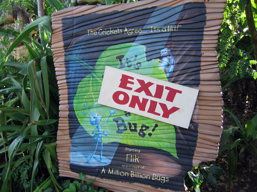 The bugs will show you the way.