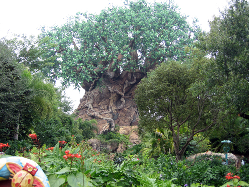 The Discovery Trails around the Tree of Life are beautiful and natural.