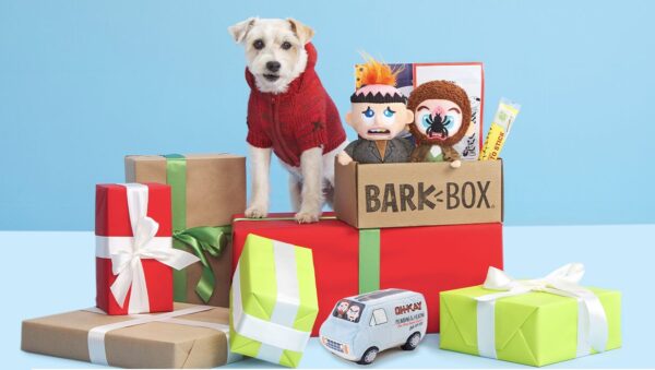 BarkBox Home Alone Collection