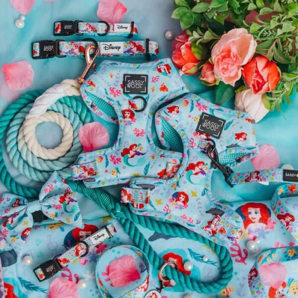 Sassy Woof Disney Princess Collection