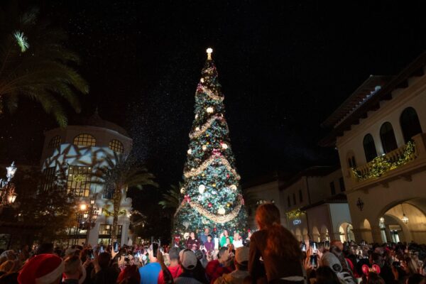 Disney Springs Tree Lighting