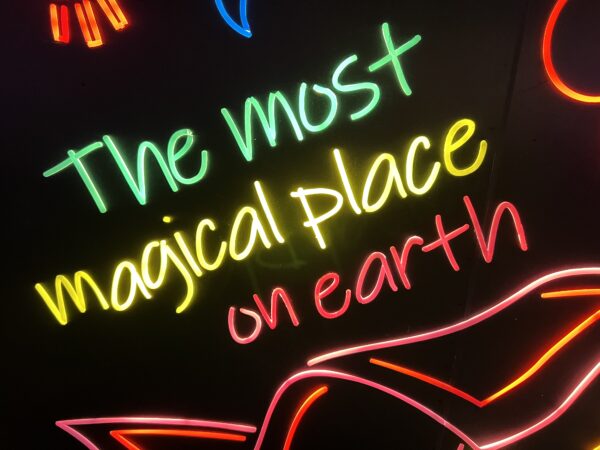 You will find plenty of thrills in The Most Magical Place On Earth.