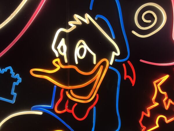 Donald may have had one thrill too many.