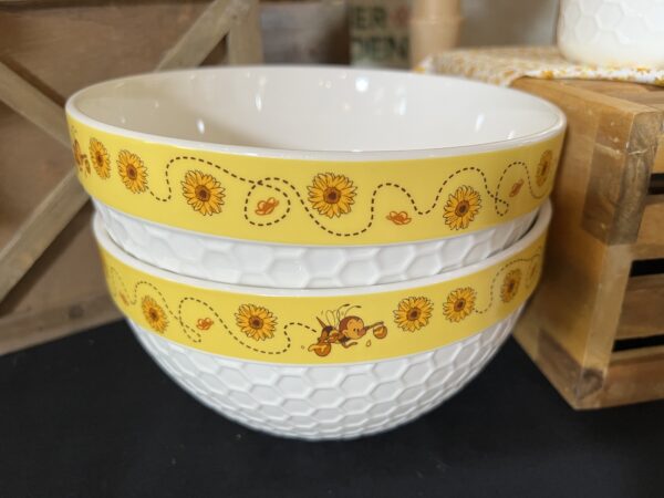 Spike The Bee bowls with Spaceship Earth pattern