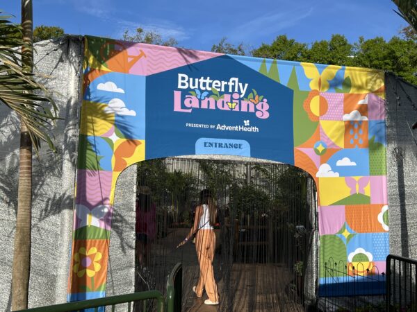 A chain screen at the entrance and exit keeps the butterflies inside.