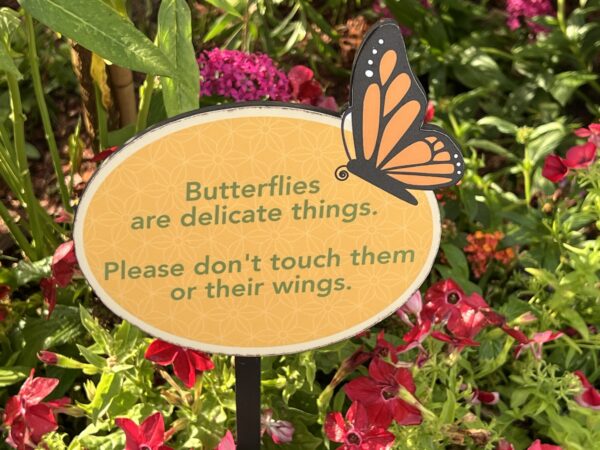 Don't touch the butterflies.